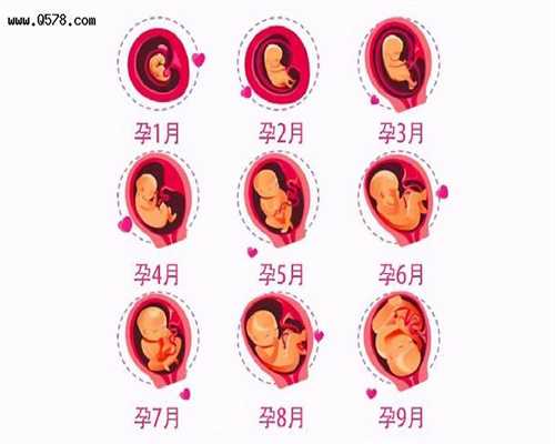 武汉代孕可以选择性别吗-代孕大概花多少钱_怎么给4个月大的宝宝添加辅食