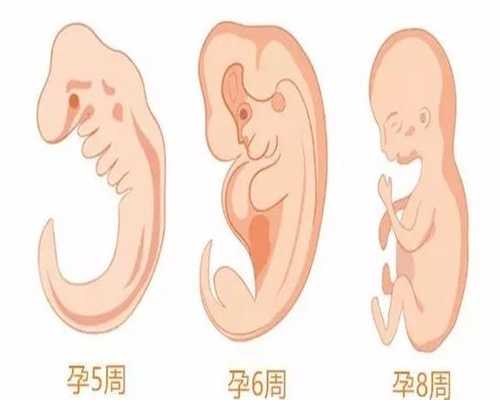 武汉代孕的多少钱-海外代孕公司_【上海哪里供卵不用排队】尿太频怀孕初期就